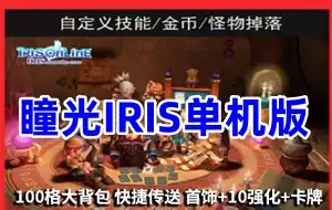 网游单机 瞳光IRIS单机版一键端 瞳光网单游戏 100格大背包GM工具