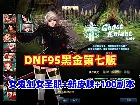 DNF网游单机版 95仿官黑金第7版 女圣职 女鬼剑+新皮肤100副本+大转移双城镇 超级内辅+GM工具 网单